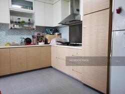 Blk 132 Geylang East Avenue 1 (Geylang), HDB Executive #314725361